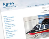 www.aerie.com.br