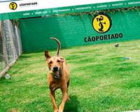 www.caoportado.com.br